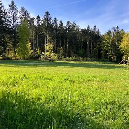 L'hotel Enfonce, D'hotes Ле-Валь-д'Ажоль