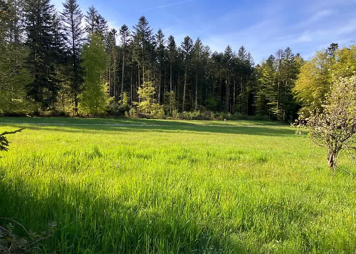 L'hotel Enfonce, D'hotes Le Val-dʼAjol