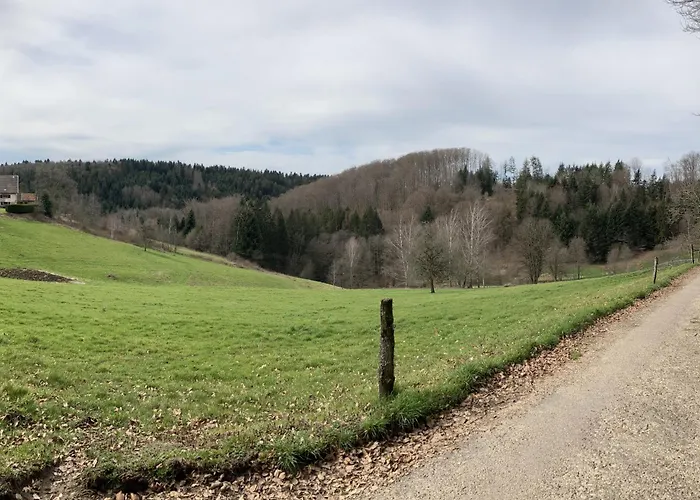 L'hotel Enfonce, D'hotes 3* Le Val-dʼAjol