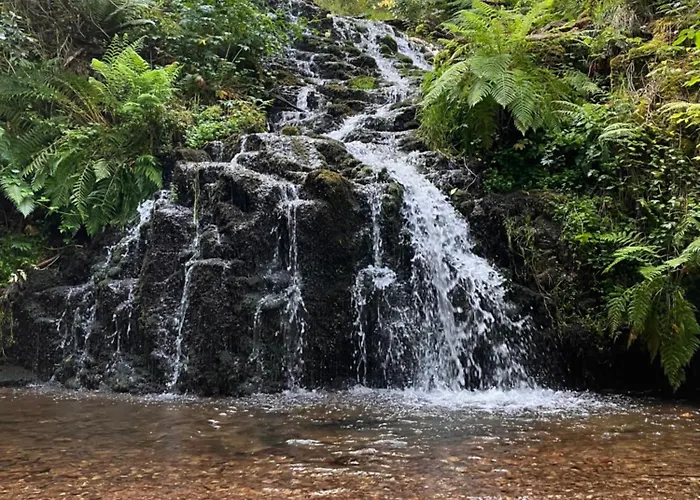 Bed & Breakfast L'hotel Enfonce, D'hotes