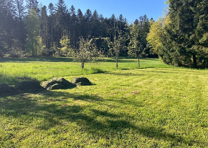 L'hotel Enfonce, D'hotes Bed & Breakfast Le Val-dʼAjol