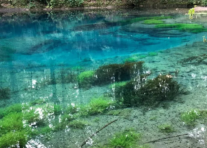 L'hotel Enfonce, D'hotes Le Val-dʼAjol