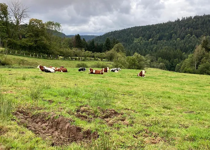 L'hotel Enfonce, D'hotes 3* Le Val-dʼAjol