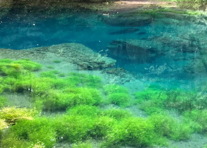 L'hotel Enfonce, D'hotes Bed & Breakfast Le Val-dʼAjol