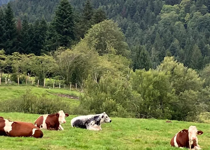 L'hotel Enfonce, D'hotes Le Val-dʼAjol