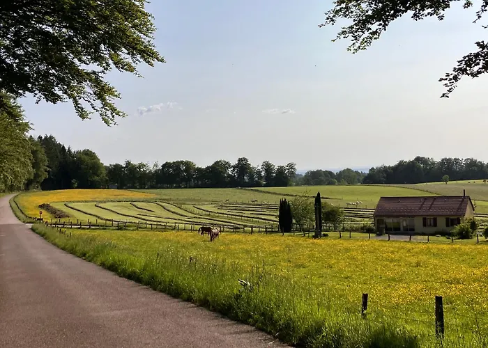 L'hotel Enfonce, D'hotes 3* Le Val-dʼAjol