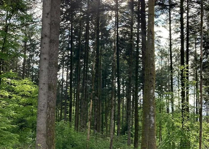 L'hotel Enfonce, D'hotes Bed & Breakfast 3*