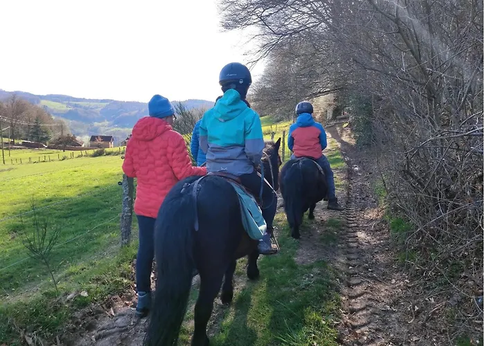 Bed & Breakfast L'hotel Enfonce, D'hotes 3*